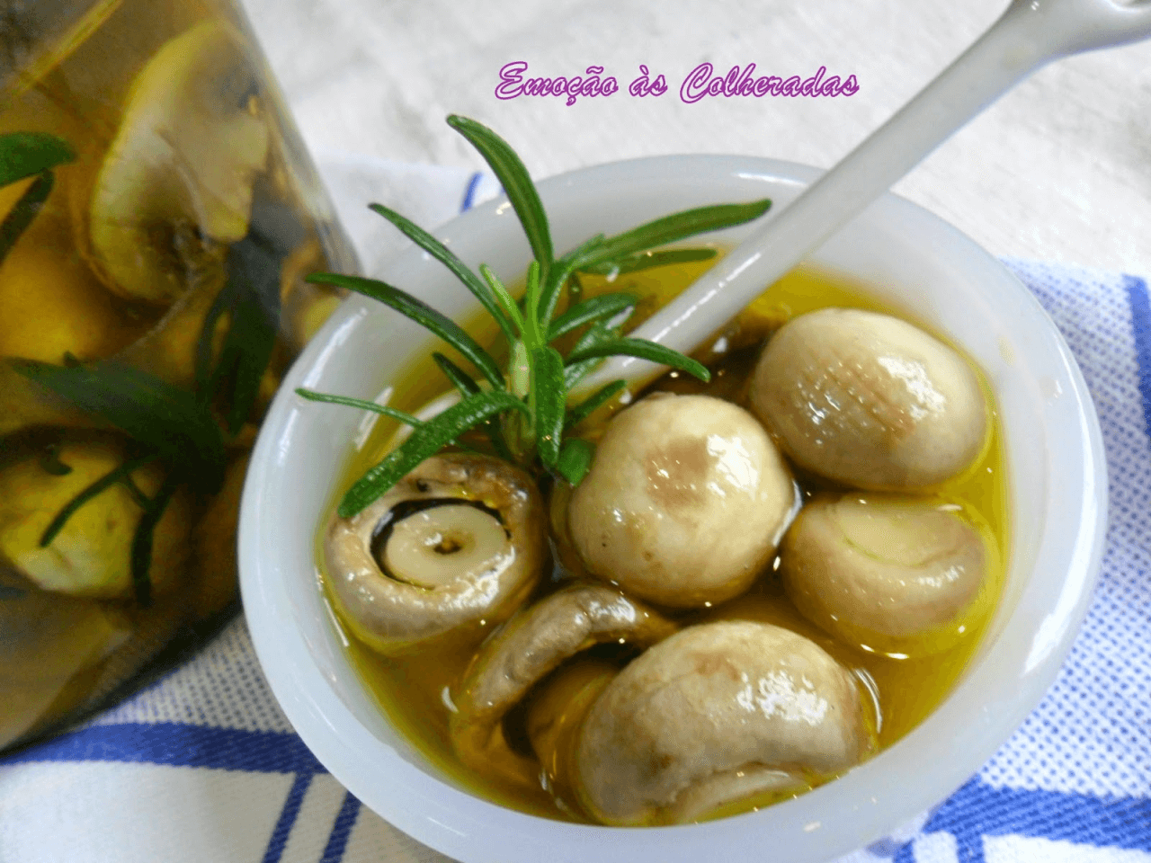 Cogumelo em conserva tem 51 calorias. Será que engorda ou emagrece